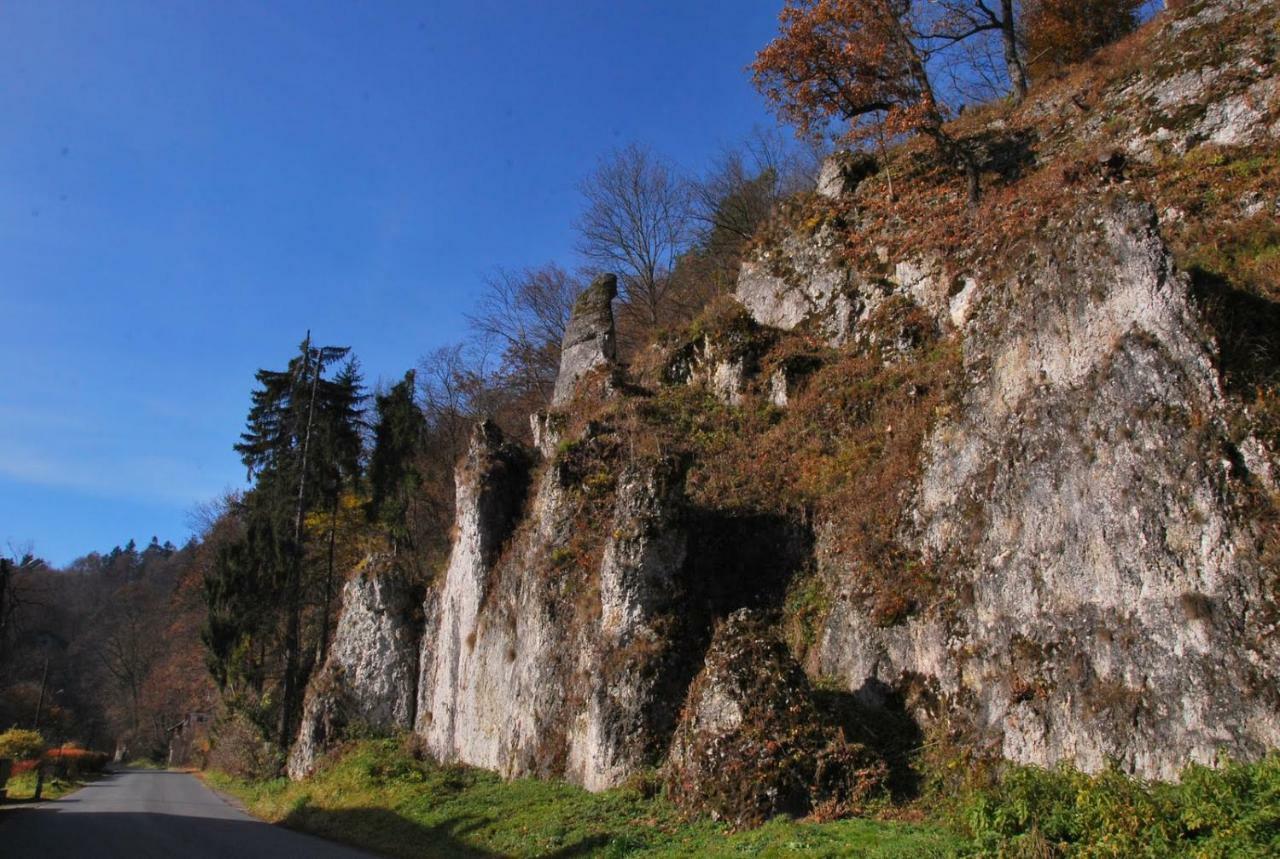 Pokoje Goscinne U Grazyny Ojcow Esterno foto