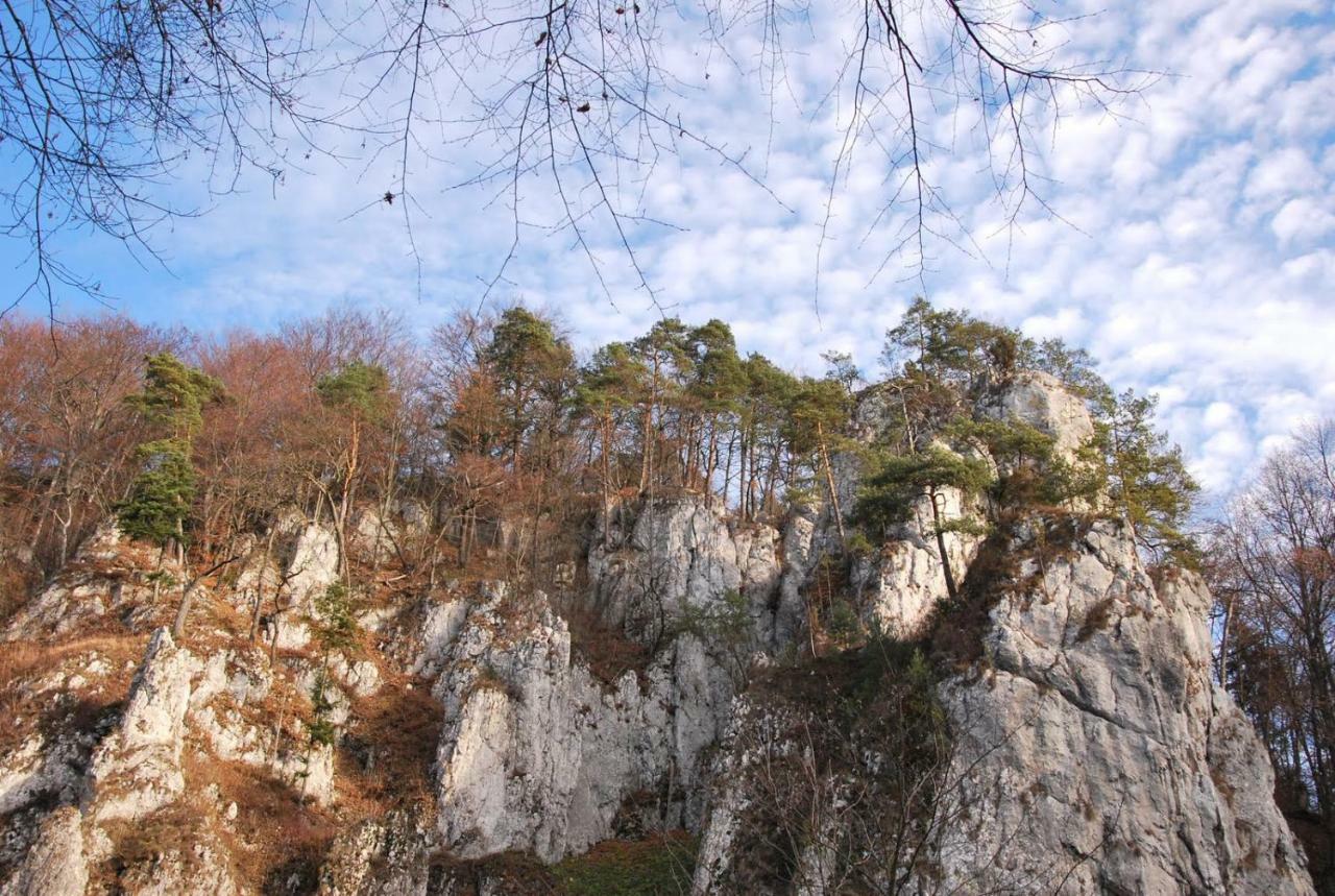 Pokoje Goscinne U Grazyny Ojcow Esterno foto