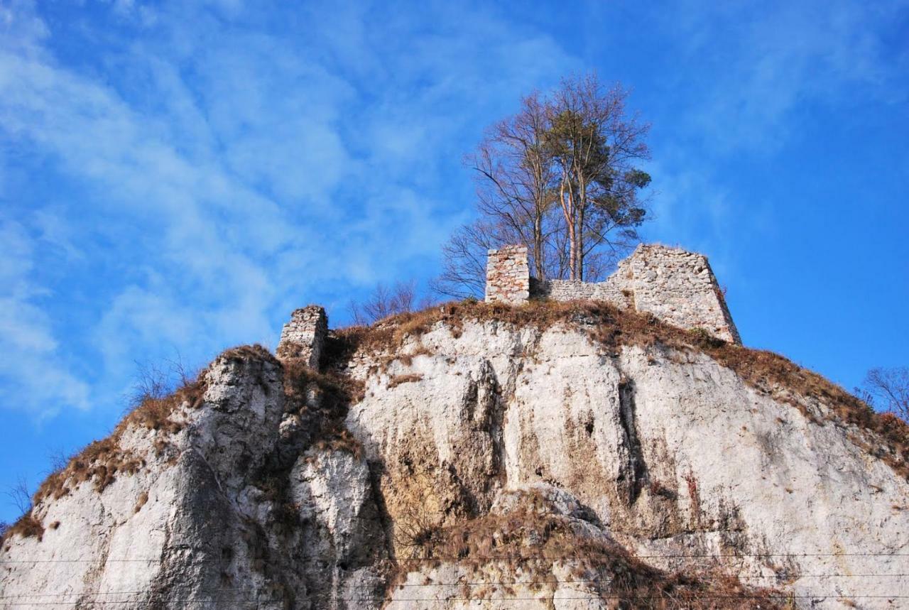 Pokoje Goscinne U Grazyny Ojcow Esterno foto