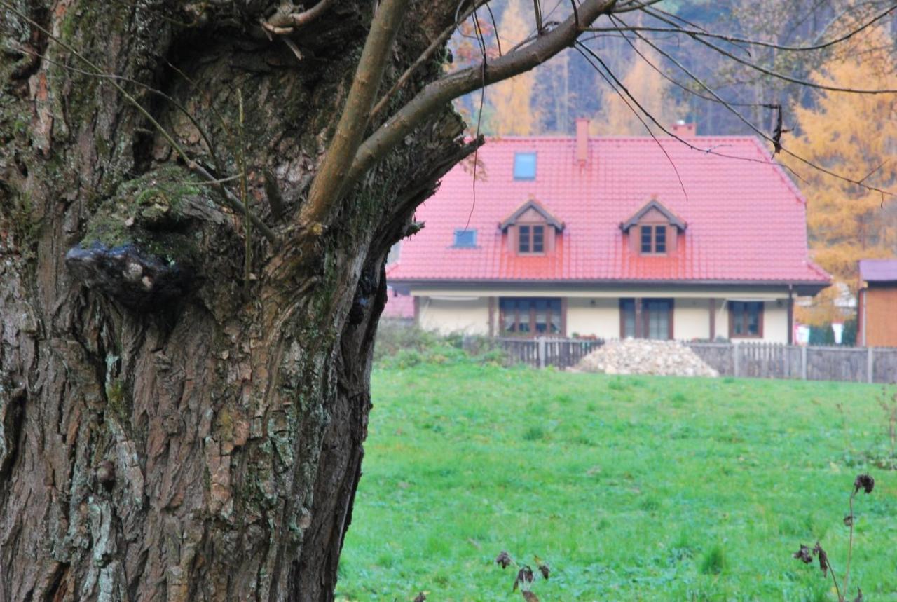 Pokoje Goscinne U Grazyny Ojcow Esterno foto