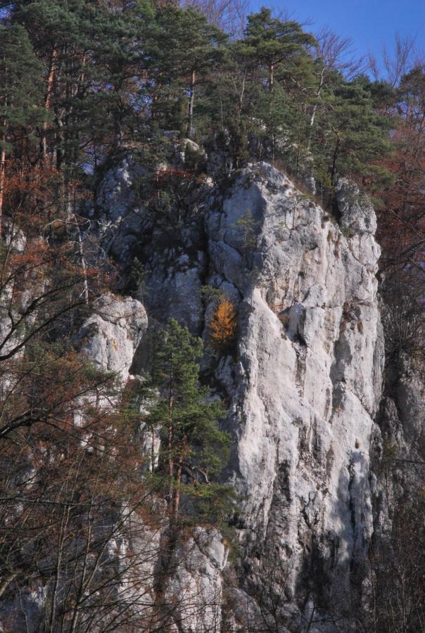 Pokoje Goscinne U Grazyny Ojcow Esterno foto