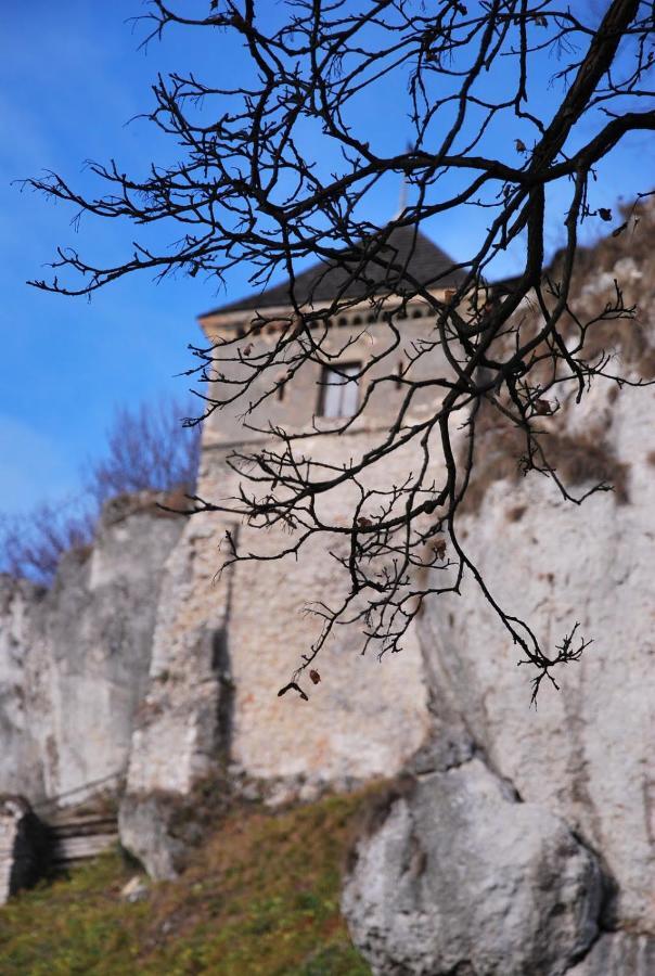 Pokoje Goscinne U Grazyny Ojcow Esterno foto