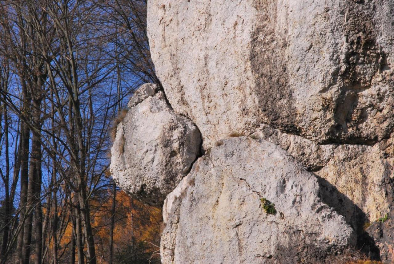 Pokoje Goscinne U Grazyny Ojcow Esterno foto