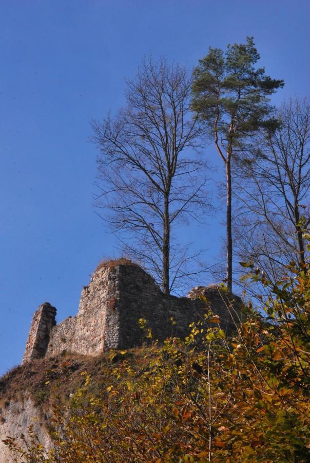 Pokoje Goscinne U Grazyny Ojcow Esterno foto