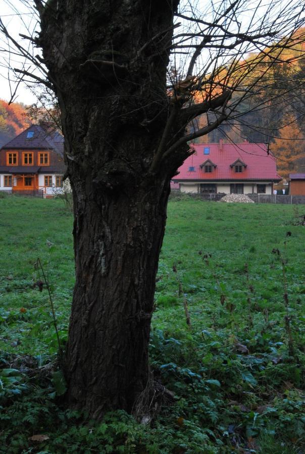 Pokoje Goscinne U Grazyny Ojcow Esterno foto