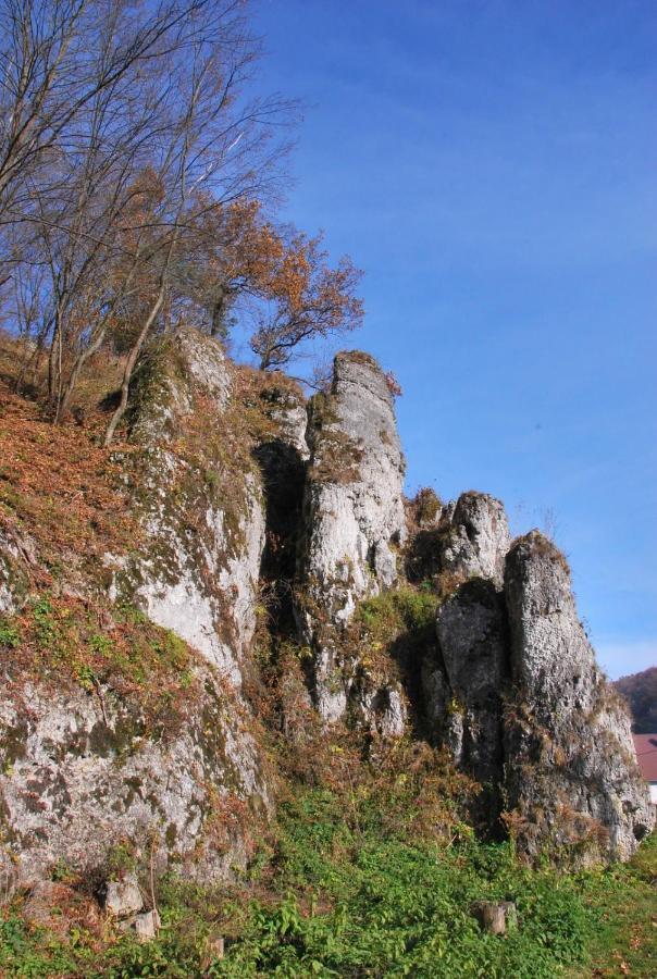 Pokoje Goscinne U Grazyny Ojcow Esterno foto