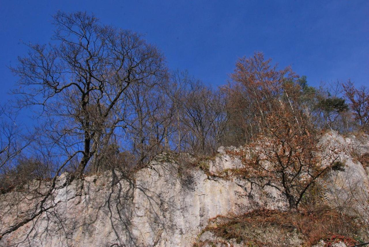 Pokoje Goscinne U Grazyny Ojcow Esterno foto