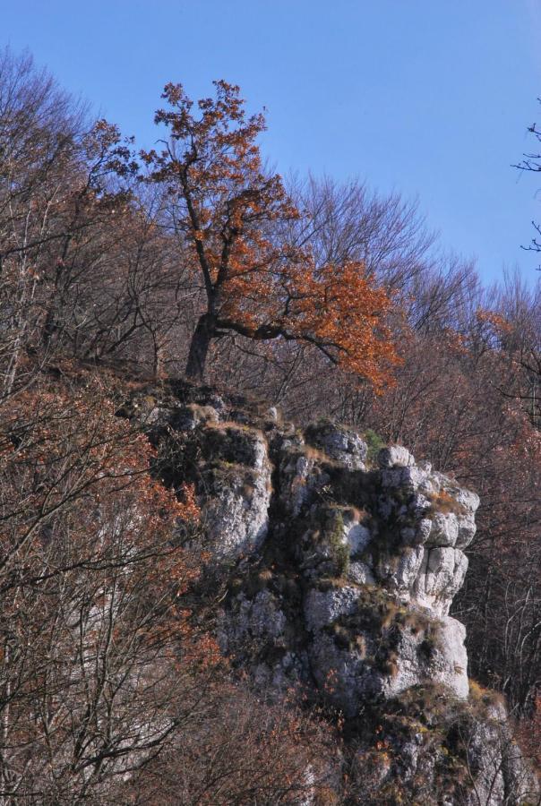 Pokoje Goscinne U Grazyny Ojcow Esterno foto