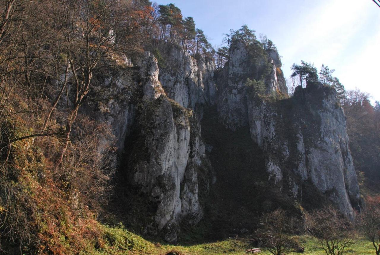 Pokoje Goscinne U Grazyny Ojcow Esterno foto