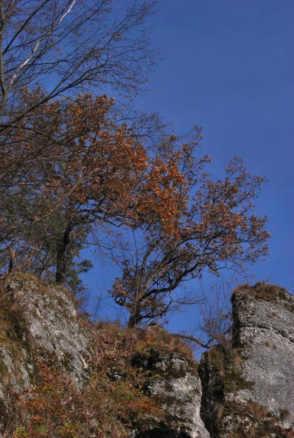 Pokoje Goscinne U Grazyny Ojcow Esterno foto