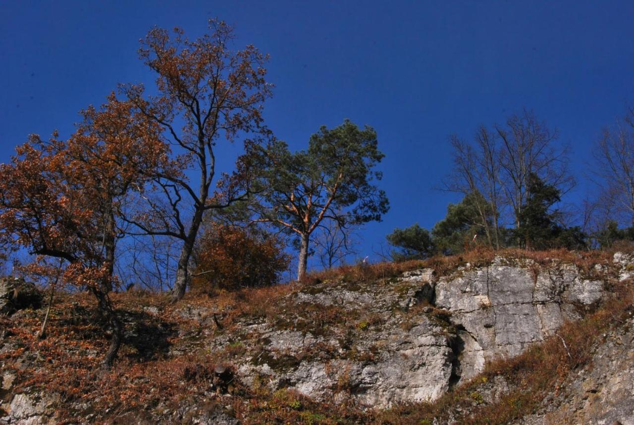 Pokoje Goscinne U Grazyny Ojcow Esterno foto