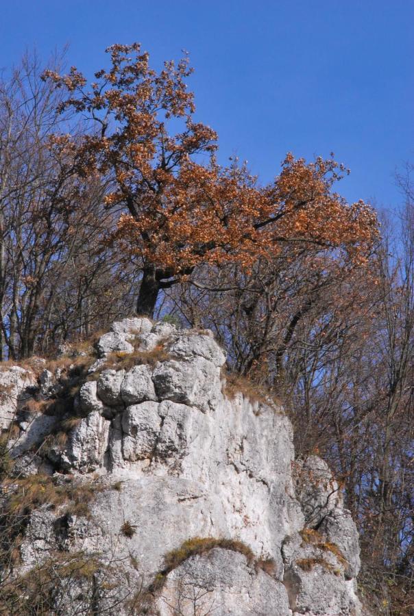 Pokoje Goscinne U Grazyny Ojcow Esterno foto