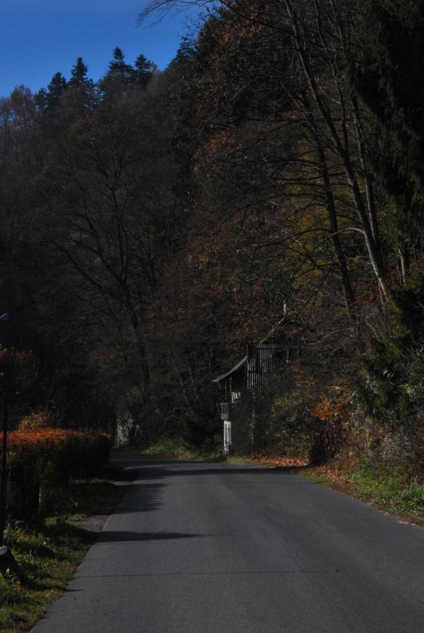 Pokoje Goscinne U Grazyny Ojcow Esterno foto