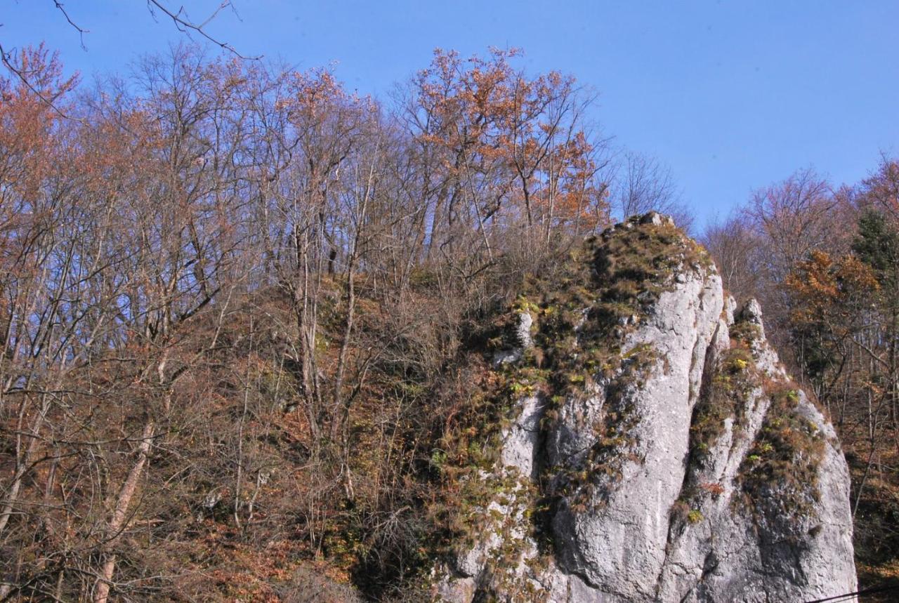 Pokoje Goscinne U Grazyny Ojcow Esterno foto