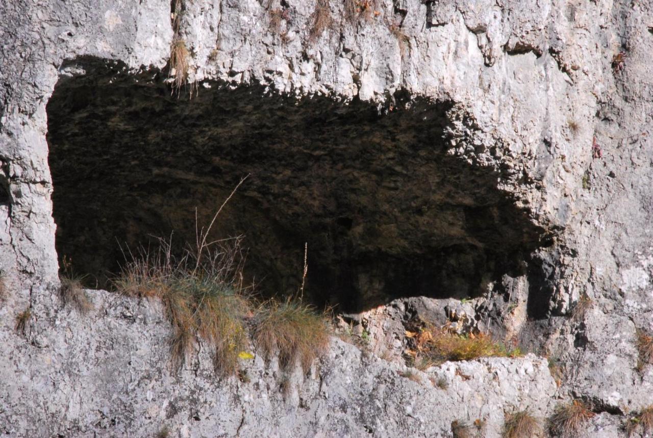 Pokoje Goscinne U Grazyny Ojcow Esterno foto